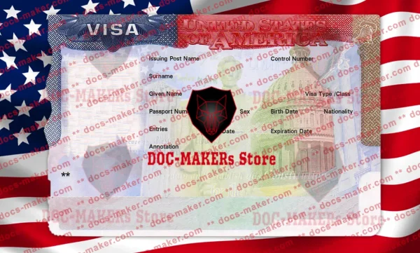 USA Visa Sticker + Photo Look – PSD Template